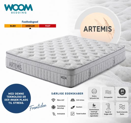 ARTEMIS Madras