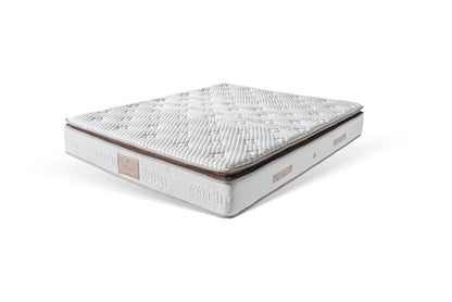 MIRACE Madras
