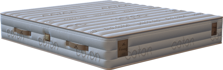 SILENT NIGHT (Sienna Line) Madras